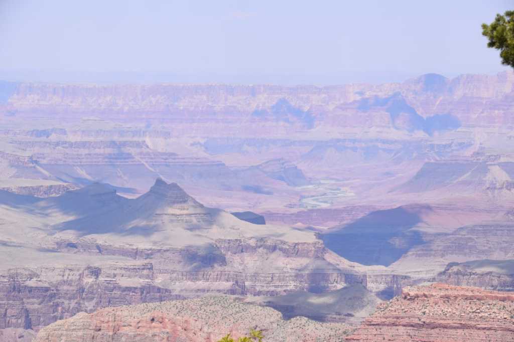 DSC_0185Mittel_.JPG